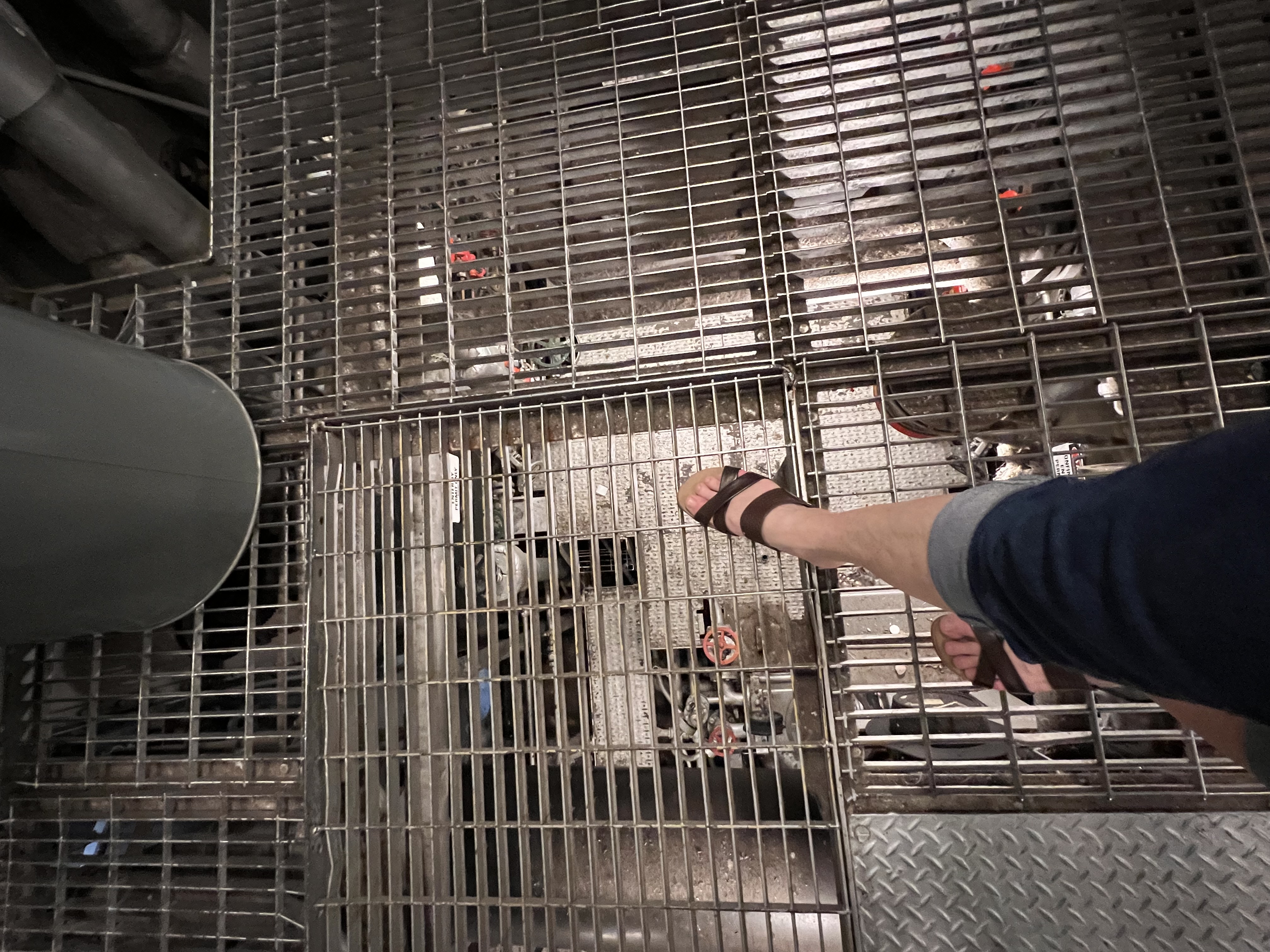 ./2023/05 - Toni Adventures/IMG_2830.JPG